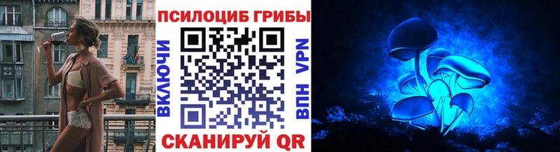 Купить закладки  Вязники  Галлюциногенные грибы Psilocybe 