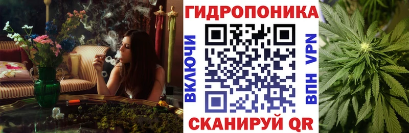 Купить закладки  Вязники  Конопля MAZAR 